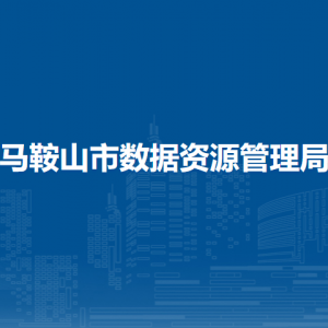 马鞍山市数据资源管理局（市政务服务管理局）数据资源科