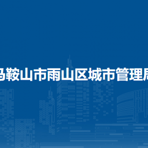 马鞍山市雨山区城市管理综合行政执法大队