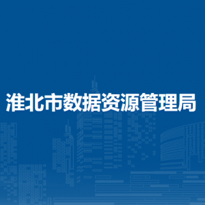 淮北市数据资源管理局电子政务与应用科