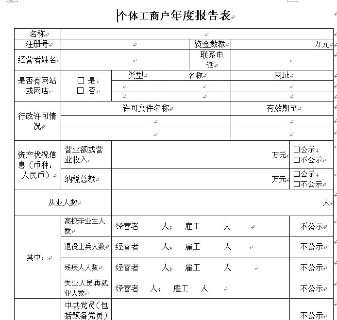 西安个体户年度报告表