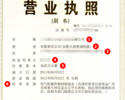 霍尔果斯**信息技术有限公司