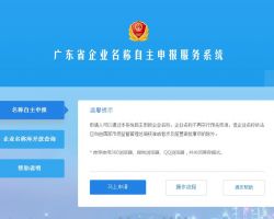 广东企业名称自主申报服务系统入口