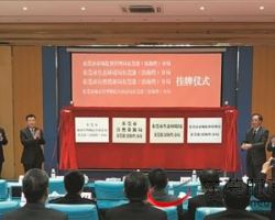 东莞市市场监督管理局桥头分局默认相册