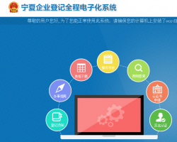 宁夏企业登记全程电子化系统入口默认相册