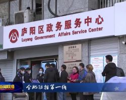 合肥市庐阳区政务服务中心默认相册