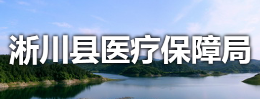 淅川县医疗保障局