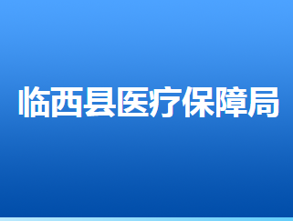 临西县医疗保障局