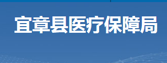 宜章县医疗保障局