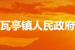 内乡县瓦亭镇人民政府