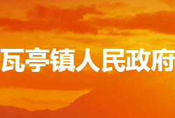 内乡县瓦亭镇人民政府