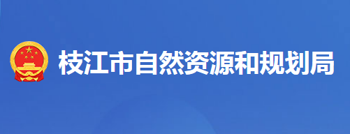 枝江市自然资源和规划局