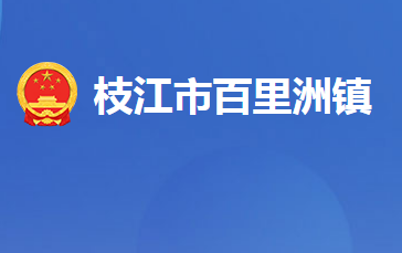 枝江市百里洲镇人民政府