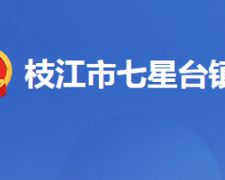 枝江市七星台镇人民政府