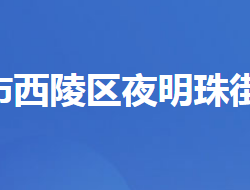 宜昌市西陵区夜明珠街道办事处