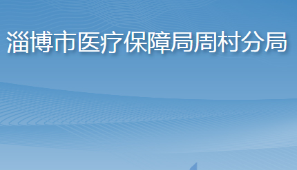 淄博市医疗保障局周村分局