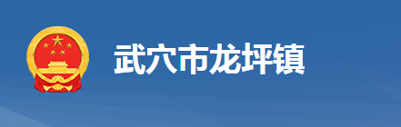 武穴市龙坪镇人民政府