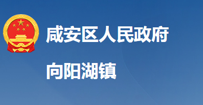 咸宁市咸安区向阳湖镇人民政府