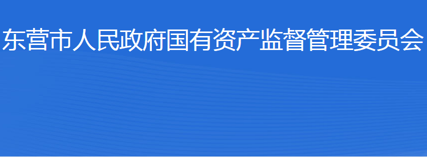 东营市人民政府国有资产监督管理委员会