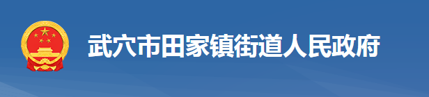 武穴市田家镇街道办事处