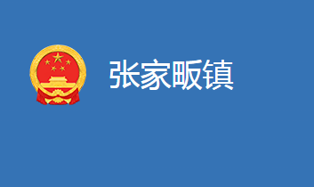 麻城市张家畈镇人民政府