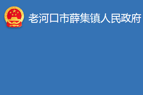 老河口市薛集镇人民政府