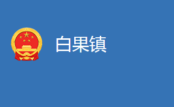 麻城市白果镇人民政府