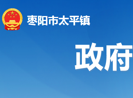 枣阳市太平镇人民政府