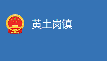 麻城市黄土岗镇人民政府