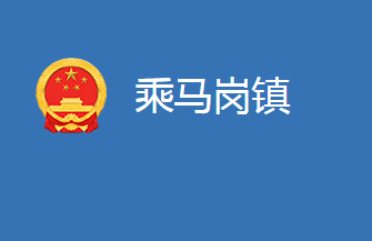 麻城市乘马岗镇人民政府