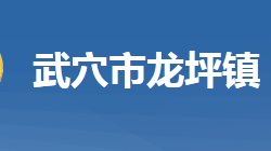 武穴市龙坪镇人民政府