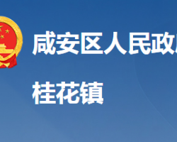 咸宁市咸安区桂花镇人民政府