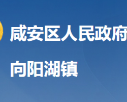 咸宁市咸安区向阳湖镇人民政府