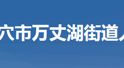 武穴市万丈湖街道办事处