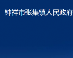 钟祥市张集镇人民政府