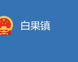 麻城市白果镇人民政府