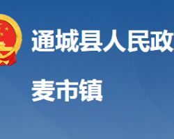 通城县麦市镇人民政府