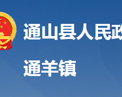 通山县通羊镇人民政府