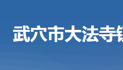 武穴市大法寺镇人民政府