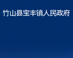 竹山县宝丰镇人民政府