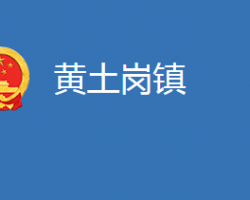 麻城市黄土岗镇人民政府