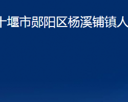 十堰市郧阳区杨溪铺镇人民政府