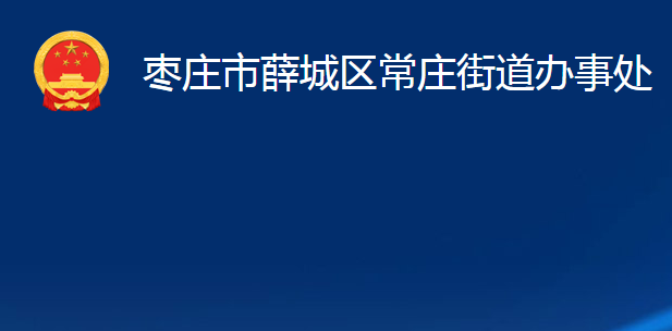 枣庄市薛城区沙沟镇人民政府