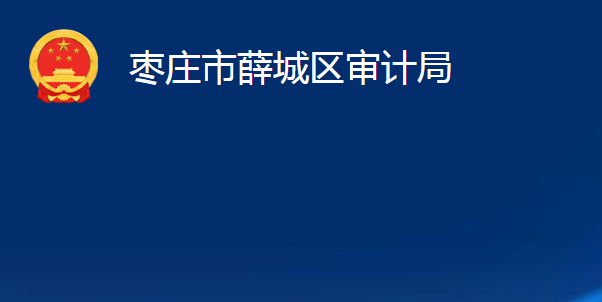 枣庄市薛城区审计局