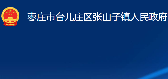 枣庄市台儿庄区张山子镇人民政府