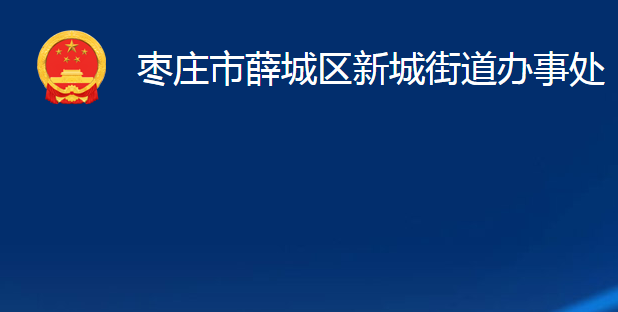 枣庄市薛城区新城街道办事处