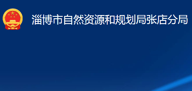 淄博市自然资源和规划局张店分局