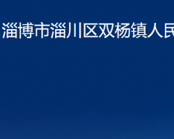 淄博市淄川区双杨镇人民政府