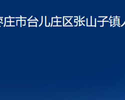 枣庄市台儿庄区张山子镇人民政府