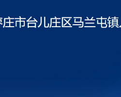 枣庄市台儿庄区马兰屯镇人民政府