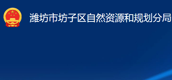 潍坊市坊子区自然资源和规划分局